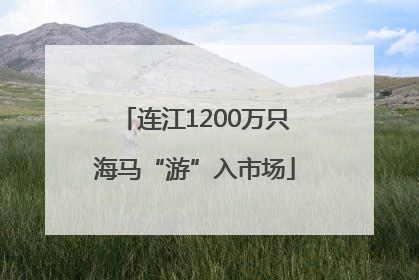 连江1200万只海马“游”入市场
