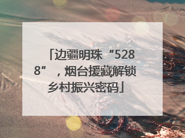 边疆明珠“5288”，烟台援藏解锁乡村振兴密码