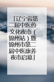 辽宁省第二届中医药文化夜市（锦州站）暨锦州市第二届中医康养夜市启幕