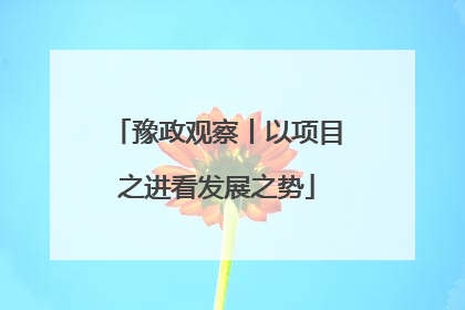 豫政观察丨以项目之进看发展之势