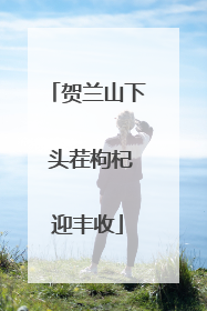 贺兰山下 头茬枸杞迎丰收