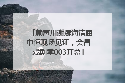 赖声川谢娜海清屈中恒现场见证，会昌戏剧季003开幕