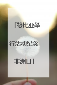 赞比亚举行活动纪念非洲日