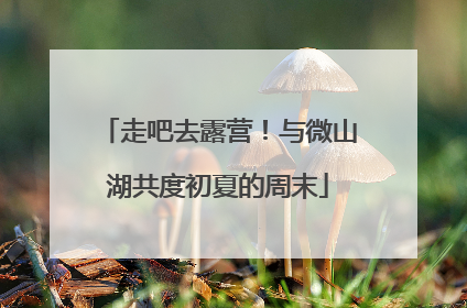 走吧去露营！与微山湖共度初夏的周末