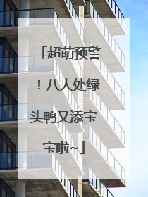 超萌预警！八大处绿头鸭又添宝宝啦~