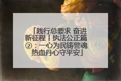 践行总要求 奋进新征程丨执法公正篇②：一心为民铸警魂 热血丹心守平安