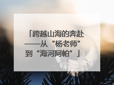 跨越山海的奔赴——从“杨老师”到“海河阿帕”