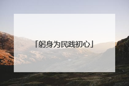 躬身为民践初心
