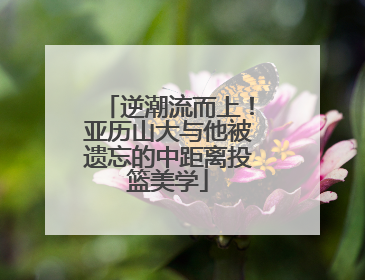 逆潮流而上！亚历山大与他被遗忘的中距离投篮美学