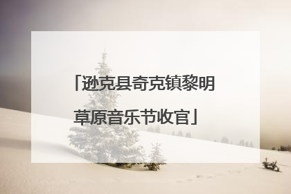 逊克县奇克镇黎明草原音乐节收官
