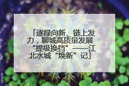 逐绿向新、链上发力，聊城高质量发展“提级换挡”——江北水城“焕新”记