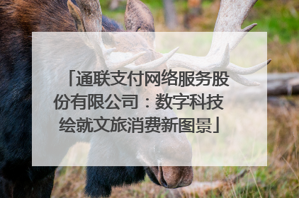 通联支付网络服务股份有限公司：数字科技绘就文旅消费新图景