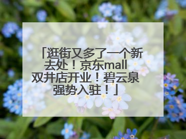 逛街又多了一个新去处！京东mall双井店开业！碧云泉强势入驻！