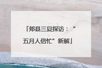 郏县三夏探访：“五月人倍忙”新解