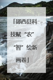郧西县科技赋“农”“智”绘新画卷
