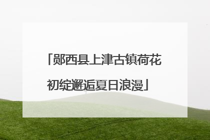 郧西县上津古镇荷花初绽邂逅夏日浪漫