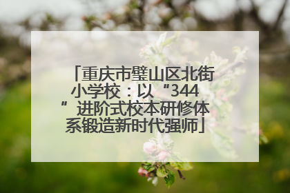 重庆市璧山区北街小学校：以“344”进阶式校本研修体系锻造新时代强师