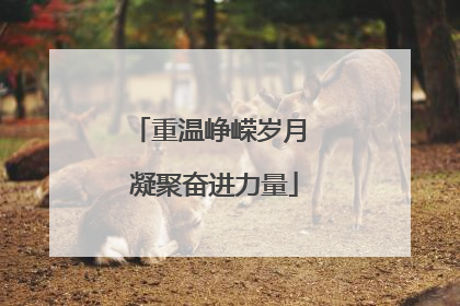 重温峥嵘岁月 凝聚奋进力量