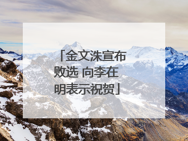 金文洙宣布败选 向李在明表示祝贺