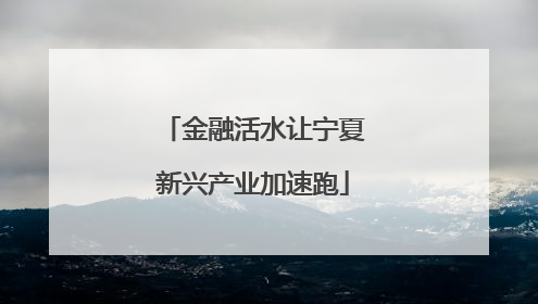 金融活水让宁夏新兴产业加速跑