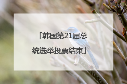 韩国第21届总统选举投票结束