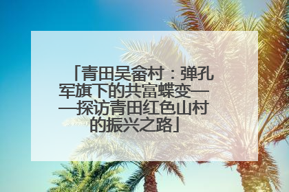 青田吴畲村：弹孔军旗下的共富蝶变——探访青田红色山村的振兴之路