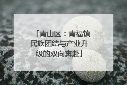 青山区：青福镇民族团结与产业升级的双向奔赴