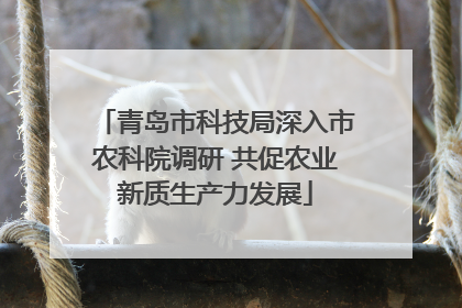 青岛市科技局深入市农科院调研 共促农业新质生产力发展