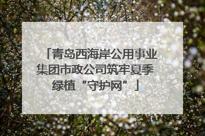 青岛西海岸公用事业集团市政公司筑牢夏季绿植“守护网”