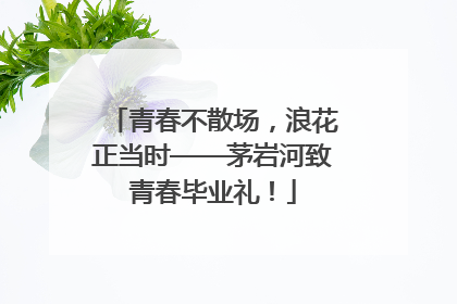青春不散场，浪花正当时——茅岩河致青春毕业礼！