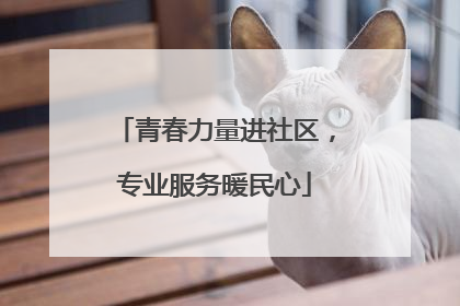 青春力量进社区，专业服务暖民心