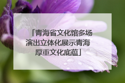 青海省文化馆多场演出立体化展示青海厚重文化底蕴