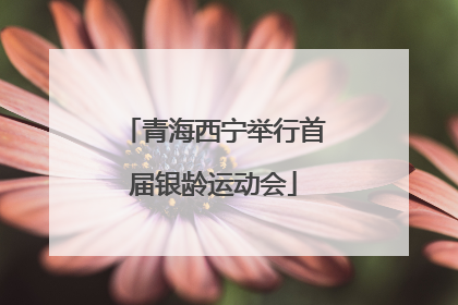 青海西宁举行首届银龄运动会