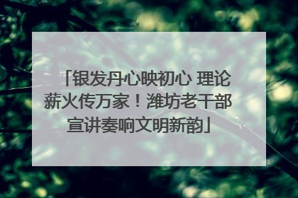 银发丹心映初心 理论薪火传万家！潍坊老干部宣讲奏响文明新韵