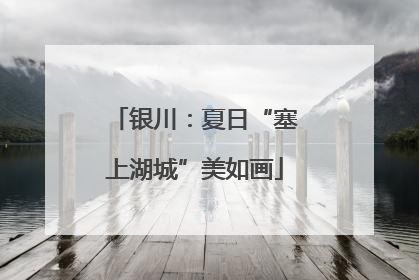 银川：夏日“塞上湖城”美如画
