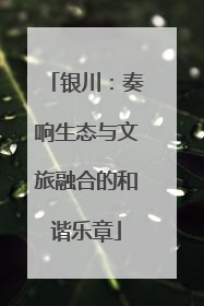 银川：奏响生态与文旅融合的和谐乐章