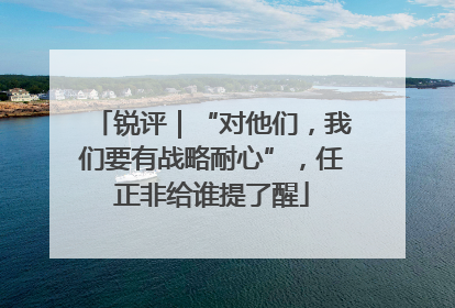 锐评｜“对他们，我们要有战略耐心”，任正非给谁提了醒