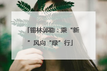 锡林郭勒：乘“新”风向“绿”行