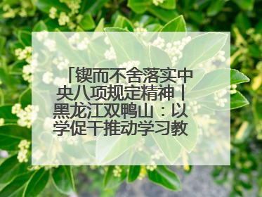 锲而不舍落实中央八项规定精神丨黑龙江双鸭山：以学促干推动学习教育走深走实 从小事入手写好“民生答卷”
