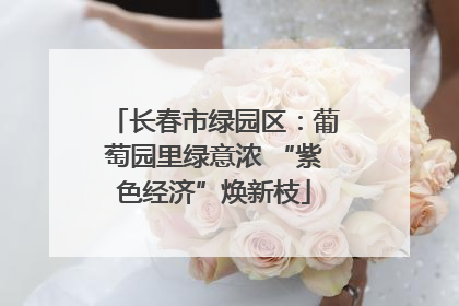 长春市绿园区：葡萄园里绿意浓 “紫色经济”焕新枝