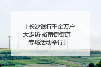 长沙银行千企万户大走访·裕南街街道专场活动举行