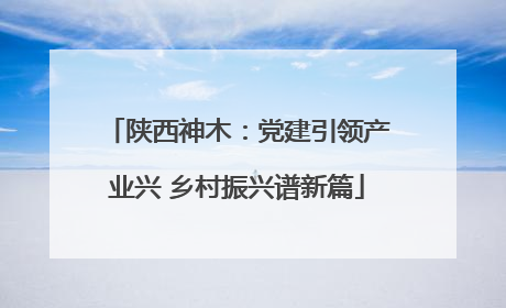 陕西神木：党建引领产业兴 乡村振兴谱新篇