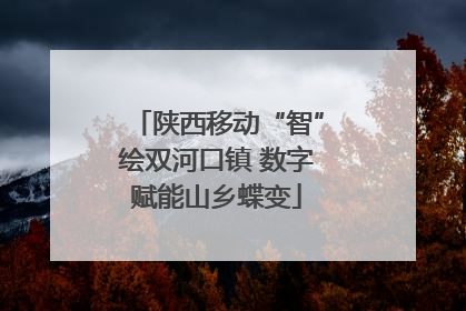 陕西移动“智”绘双河口镇 数字赋能山乡蝶变