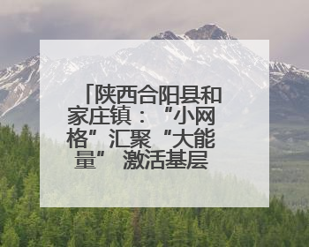 陕西合阳县和家庄镇：“小网格”汇聚“大能量” 激活基层治理新动能