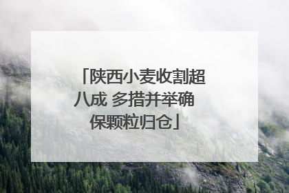 陕西小麦收割超八成 多措并举确保颗粒归仓