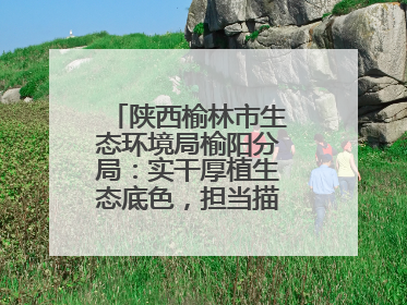 陕西榆林市生态环境局榆阳分局：实干厚植生态底色，担当描绘绿色答卷