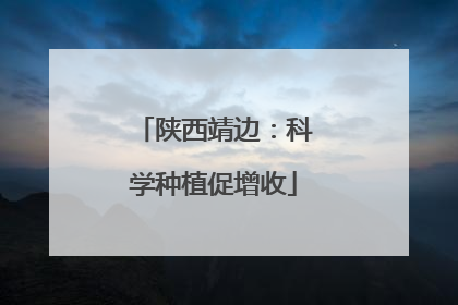 陕西靖边：科学种植促增收