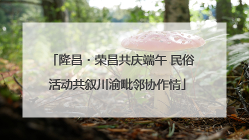 隆昌・荣昌共庆端午 民俗活动共叙川渝毗邻协作情