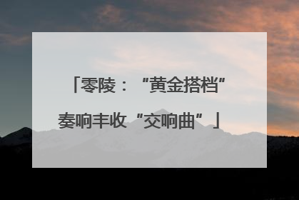 零陵：“黄金搭档”奏响丰收“交响曲”