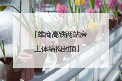 雄商高铁两站房主体结构封顶
